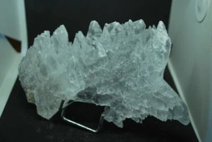GYPSUM FISH TAIL from NAICA STATE OF CHIHUAHUA in MEXICO - Picture 1 of 6