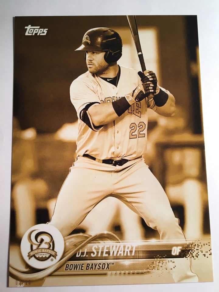 2018 Topps Pro Debut Jumbo 5x7 D.J. Stewart Baysox 191 Gold 03/10 - Image 1 of 1