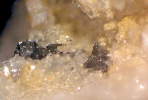 Cassiterita: Plumbago Mtn. Newry, Maine, Micromount, ex-Cares - Imagen 1 de 3