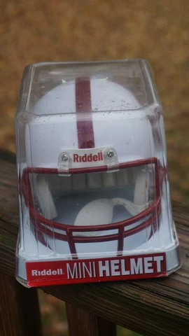 Stamford University Mini Helmet by Riddell Cover