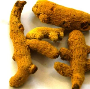 Tumeric Turmeric Root Fingers - Picture 1 of 1