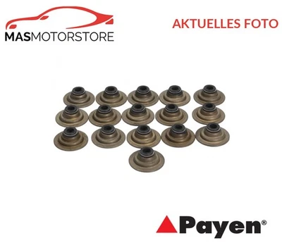 VENTILSCHAFTDICHTUNG SATZ PAYEN HR752 I FÜR CATERHAM SEVEN 1.4,1.4 I 1.4L - image 1 of 4