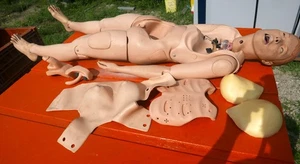 Laerdal or Medical Plastics Lab Training Manikin for Parts or Repair + Extras #2 - Picture 1 of 15