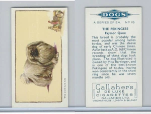 G12-80 Gallaher Tobacco, Dogs, 1934, #18 Pekingese - Picture 1 of 1