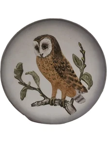  Vintage Goebel Ceramic Barn Owl Plate Hand Painted  1976 - Picture 1 of 7