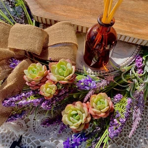 Echeveria Love Song Rare Succulent Plant, Bare Root Easy Care Live - Picture 1 of 12