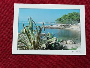 Magnifique carte postale - Alain Baudry - Plage - Cactus - Neuve - Méditerranée - Imagen 1 de 2