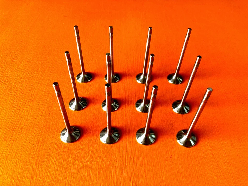 SE ADAPTA A 07-21 MERCEDES-BENZ FREIGHTLINER JEEP 3.0 OM642 TURBO DIÉSEL VÁLVULAS DE ADMISIÓN Foto 1 de 1