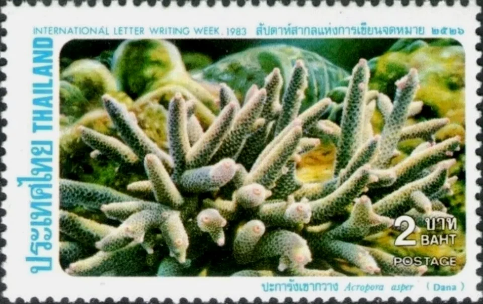Thailand #Mi1054 MNH 1983 Staghorn Coral [1040] - Image 1 of 1