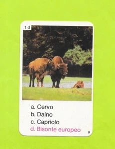 Carte Italienne - N°1d - Bison d’Europe - Picture 1 of 2