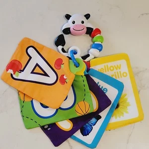 BABY EINSTEIN Take Along Discovery Cards Clip-on 10 Images Crinkle Teether Toy. - Picture 1 of 18