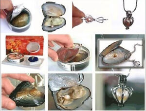 Wholesale 10 Set Love Wish Pearl Necklace Set Oyster Drop Pendant + Chain
