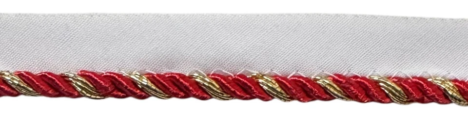 Cordón giratorio con recorte de tuberías de labios metálicos - ¡8 yardas continuas! Foto 1 de 1