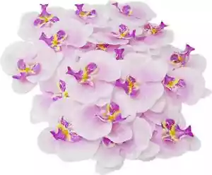 20PCS Fabric Butterfly Orchid Flower Heads Artificial Fake Flowers Heads for Cra - Picture 1 of 4