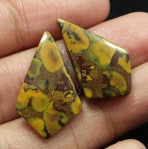 23.60 Ct Natural Fruit Jasper Fancy Cabochon Matched Pair Loose Gems 27.4x16.8MM - Picture 1 of 3