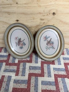 Juego de 2 impresiones de arte de pared HOMCO interiores de hogar OVAL marco dorado aves FLORES de colección - Imagen 1 de 8