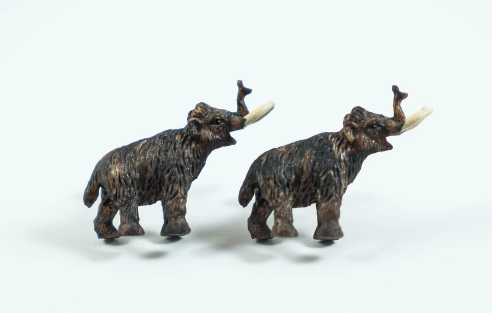 Abotoaduras de mamute lanoso--fóssil pré-histórico animal natural mastodonte idade do gelo  - Imagem 1 de 1