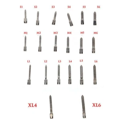 Dental Endo Pure Titanium Assorted Conical Screw Posts Root Canal 20 Size 30 Pcs - Image 1 of 4