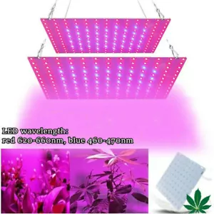 LED Wachstumslampe Grow Wuchs Vollspektrum Pflanzenlicht PflanzenLampe AC 220V - Bild 1 von 15