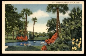 Postcard A Tropical Beauty Spot with Pond and Palm Trees, Florida - Picture 1 of 2