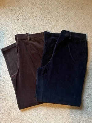 2 Pairs Women’s LL Bean Corduroy Pants 12 Reg Blue Brown - Image 1 of 4
