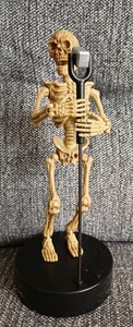 ELECTRONIC SKELETON MAGIC POWER CO SINGS MOVING & LIGHT UP WORKS 2016 11" UNBOX - Picture 1 of 15