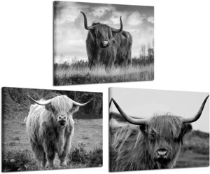 Canvas Print Wall Art Black and White Freedom Highland Cow Pictures Painting for - Picture 1 of 7
