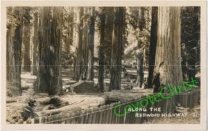 Three Vintage RPPC Photo Postcards ALONG THE REDWOOD HIGHWAY California 1920s - Picture 1 of 6