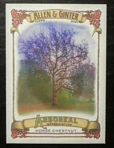 2021 Topps Allen Ginter Arboreal Appreciation AA-6 Horse Chestnut - Picture 1 of 2