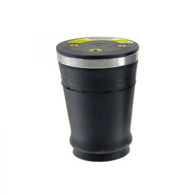 Rear 110/70 Air Helper Spring for Chevy Silverado 1500 1999-2007 Foto 1 de 4