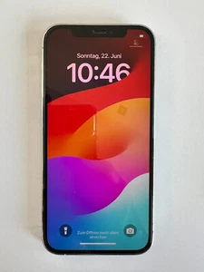 Apple iPhone 12 Pro - 256GB - Silber (Ohne Simlock) (Dual-SIM) - Afbeelding 1 van 2
