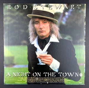 Rod Stewart A Night on the Town Japan Import Classic Rock vinyl record LP NM M- - Imagen 1 de 3