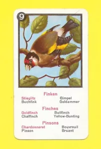Carte allemande - Pinsons - Chardonneret - Picture 1 of 1