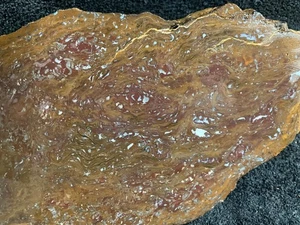 Z~ Paleo Osmunda Faced Rough Petrified Fern fr Australia 10 lbs - Picture 1 of 8