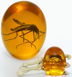 Mosquito 3D en ámbar y mano de dinosaurio jurásico, 6,5” x 3,0” regalo para coleccionista... - Imagen 1 de 9