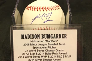 Madison Bumgarner Autographed Baseball TRISTAR CERT, Case, and Hologram - Picture 1 of 4