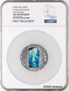 2024 Palau $20 Underwater Fantasy 3oz Silver Coin NGC MS70 First Release - Picture 1 of 2