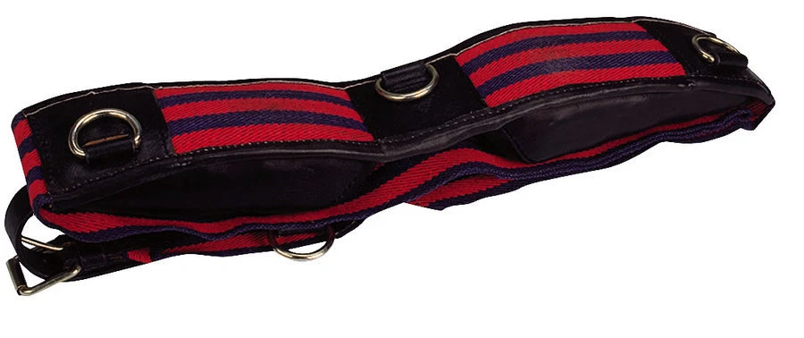 Apollo Longiergurt  Stoff mit Kissen aus Büffelspaltleder und Ringe WB und Pony  - Bild 1 von 1