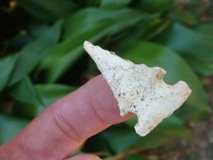 Smokin BEUTELL Collection BOLEN BEVEL Georgia Florida Arrowhead ~108~ - Picture 1 of 3
