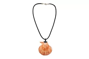 Collana Cordino in Pelle Con Ciondolo Naturale - Foto 1 di 28