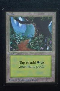 Magic The Gathering MTG FOREST (B) Limited Edition Beta NM Near Mint - Picture 1 of 2