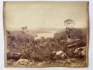 3 Original 1880s Albumen Photographs Sydney Australia - Foto 1 di 2