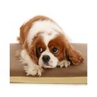 Petlife Posture Pal Memory Foam Dog/Cat Bed VP2583