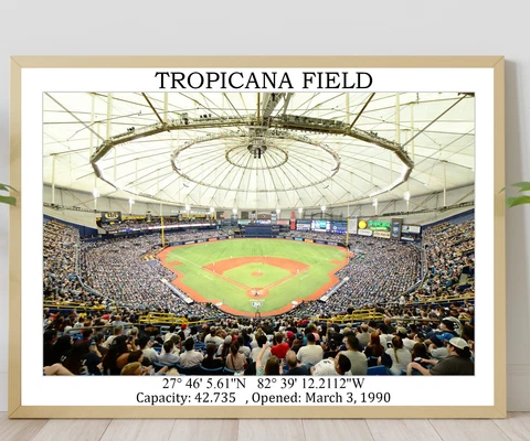Tropicana Field Stadium Poster, Tampa Bay Rays Baseball Stadium Wall Art Cover