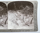WW1 Stereoview Card 3D Photo Listening Post In No Mans Land  Realistic travels