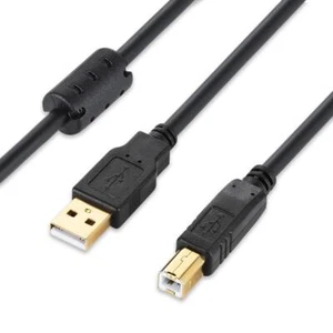 Câble d'imprimante USB 2.0 de 10 m câble d'imprimante USB de type A mâle vers... - Photo 1 sur 8