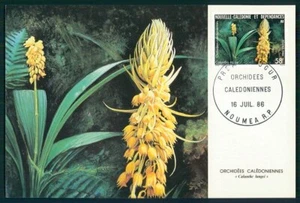 NUEVA CALEDONIA MK 1986 ORQUÍDEAS ORQUÍDEAS ORQUÍDEAS TARJETA MÁXIMA MAXI CARD MC hs15 - Imagen 1 de 2