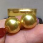 Gorgeous Aaaaa Huge 11-12mm Round South Sea Golden Pearl Earring 14k Yellow Gold