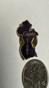 Vintage Lions Club International Guyana South America District 60 Pin - Picture 1 of 2