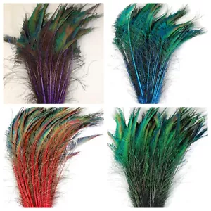 Dyed Feather PEACOCK SWORDS 10-25" In Many Colors; Costume/Hats/Halloween - Picture 1 of 5